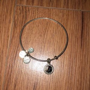 Silver charm Alex and Ani